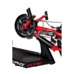 Black Bird 4-800×800